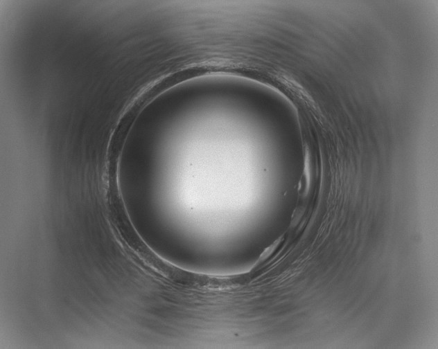 X0000075920484200609151459