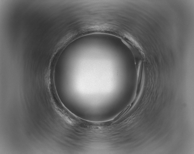 X0000075920486200609151458