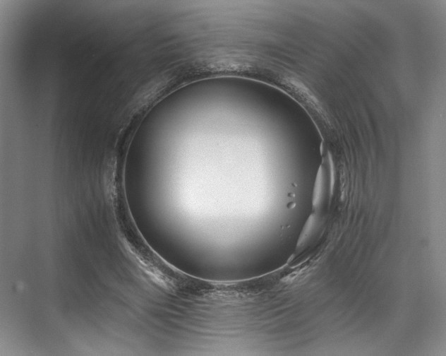 X0000075920490200609151458