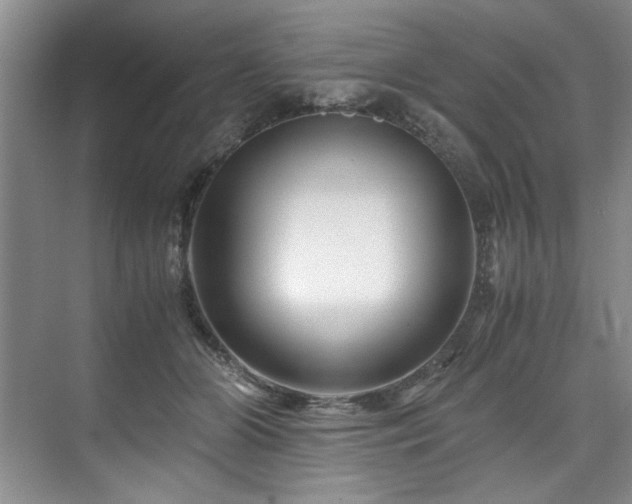 X0000075920510200609151458