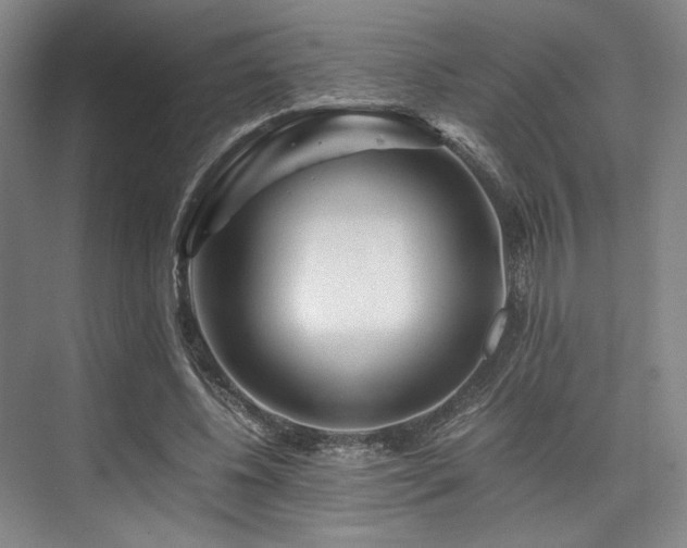 X0000075920540200609151457