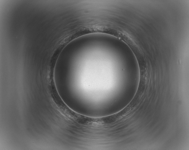 X0000075920548200609151457