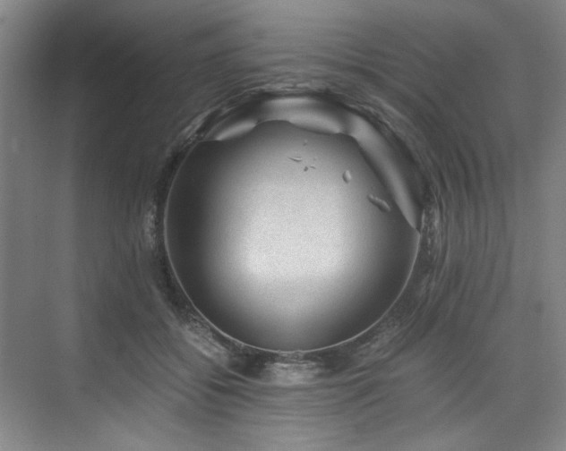 X0000075920556200609151457