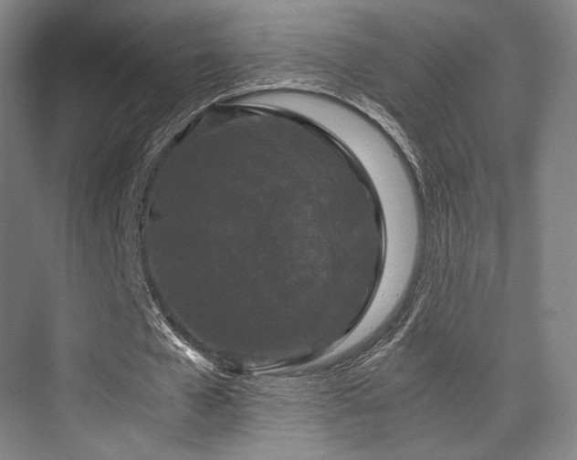 X0000075920577200609151457