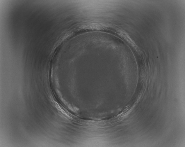 X0000075920585200609151457