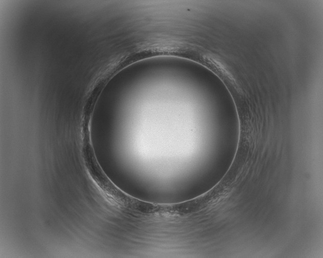 X0000075920586200609151457