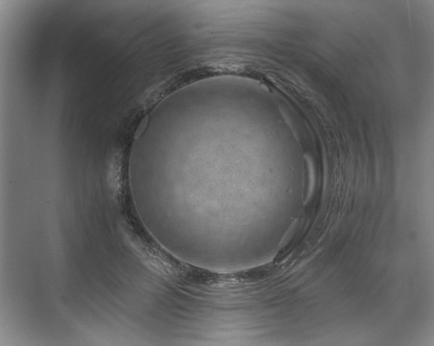 X0000075920600200609151457