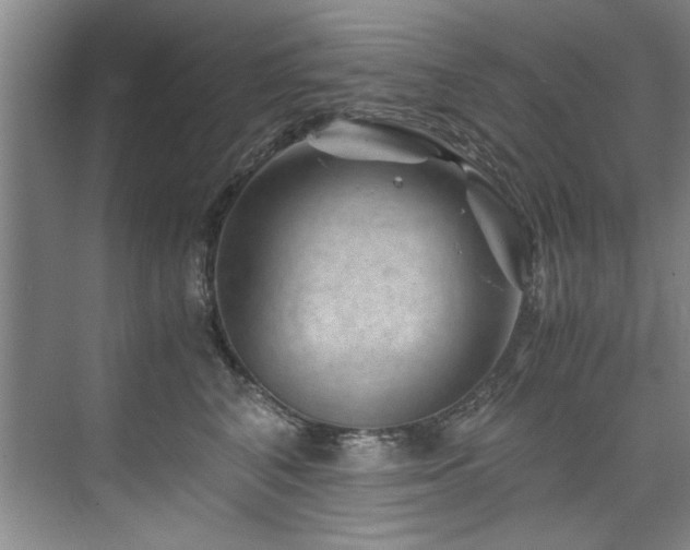 X0000075920616200609151456