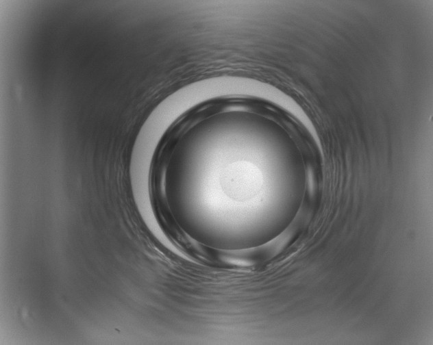 X0000075920621200609151456