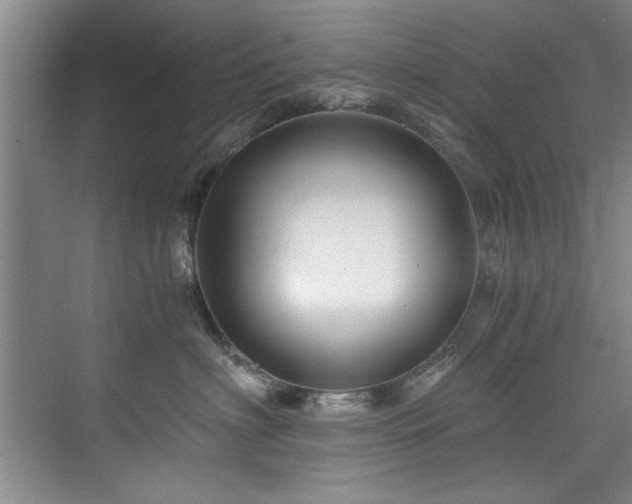 X0000075920622200609151456