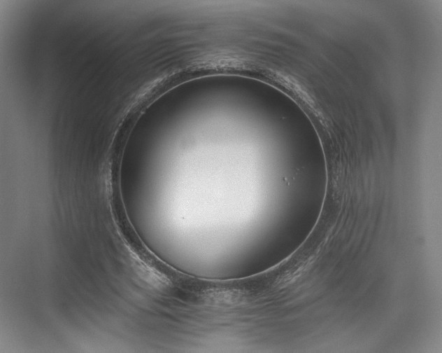 X0000075920629200609151455