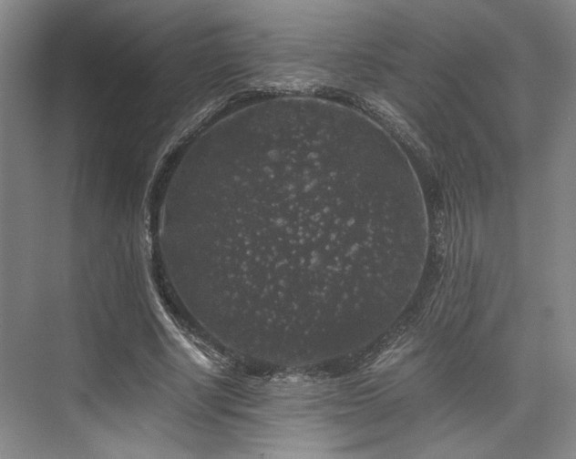 X0000075920634200609151455