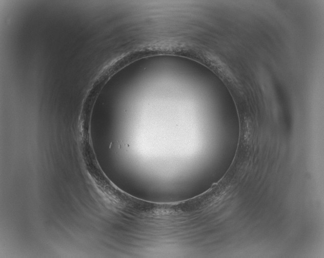 X0000075920636200609151456