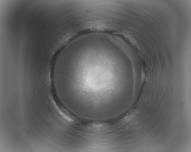 X0000075920638200609151456