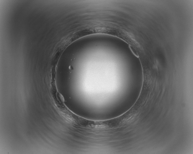 X0000075920645200609151456
