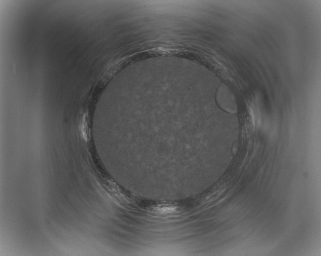 X0000075920651200609151456