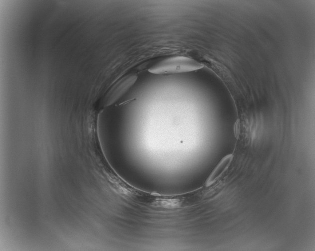 X0000075920665200609151456