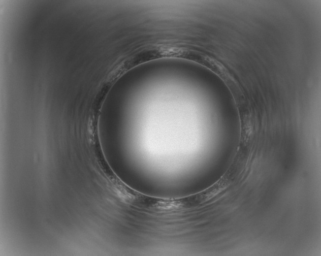X0000075920667200609151456