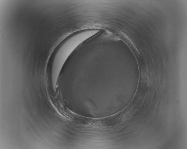 X0000075920674200609151455
