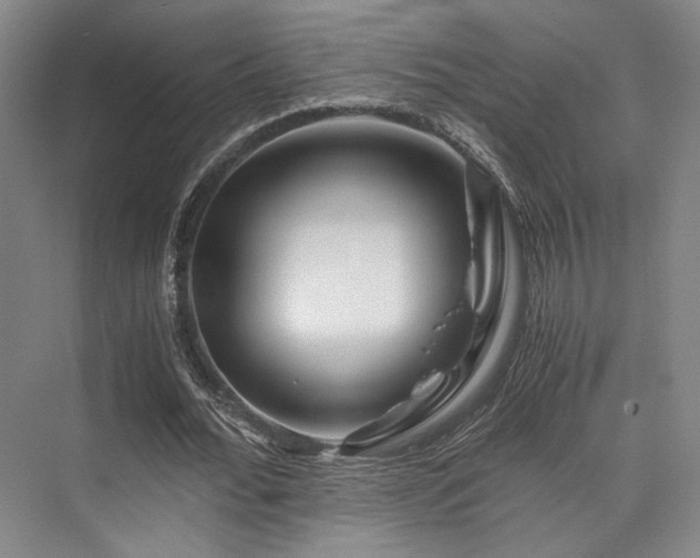 X0000075920676200609151455