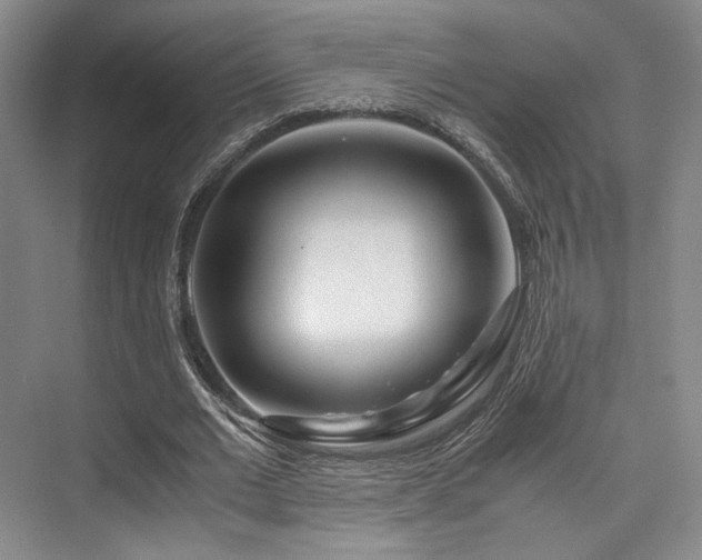 X0000075920677200609151455