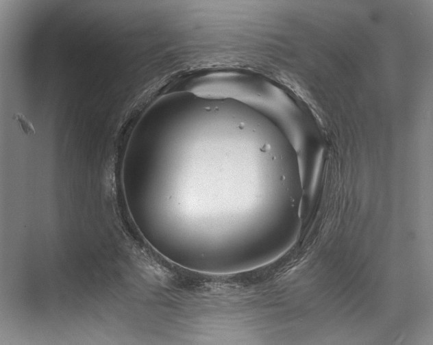 X0000075920681200609151455