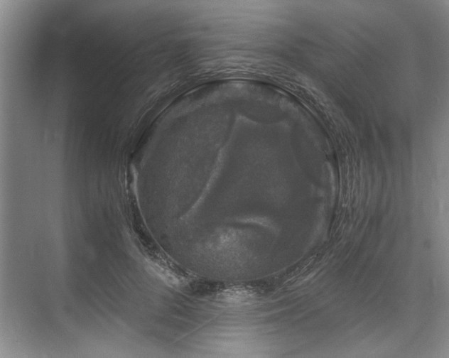 X0000075920696200609151455