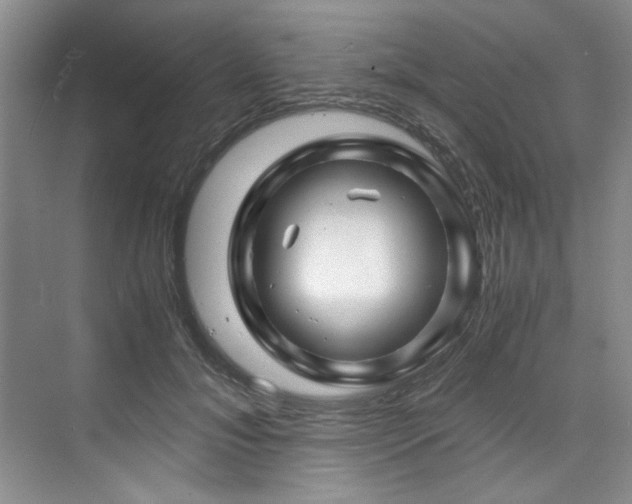 X0000075920700200609151455