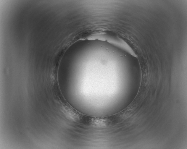 X0000075920710200609151455