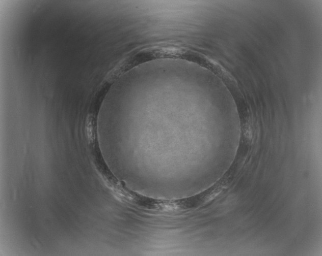 X0000075920715200609151455