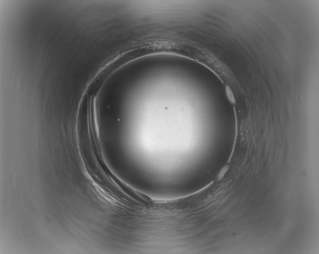 X0000075920722200609151454