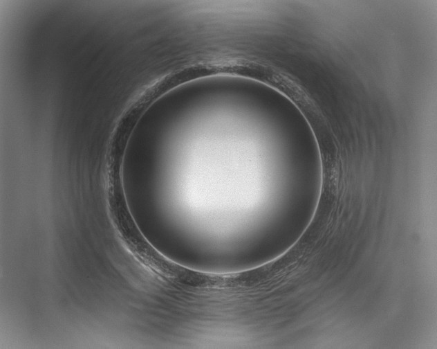 X0000075920732200609151454