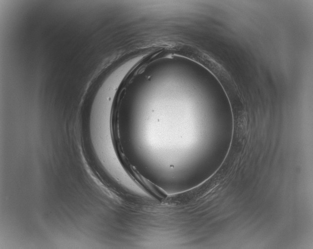 X0000075920734200609151454