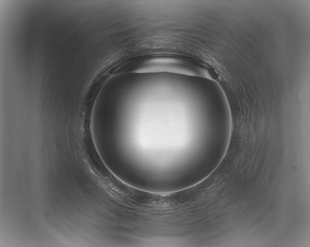 X0000075920735200609151454