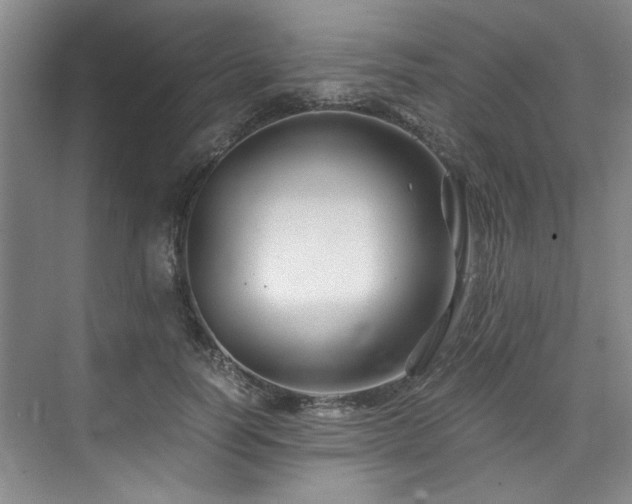 X0000075920746200609151454