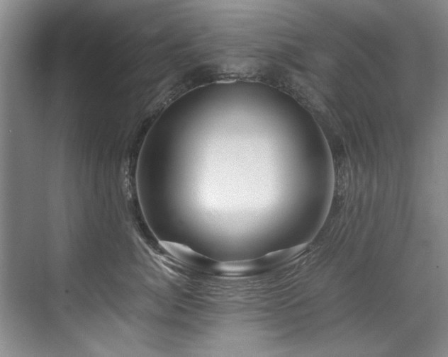 X0000075920764200609151454