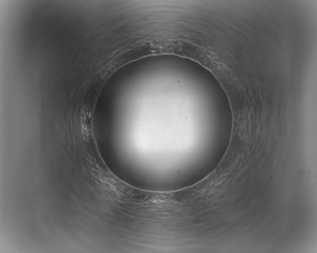 X0000075920770200609151454