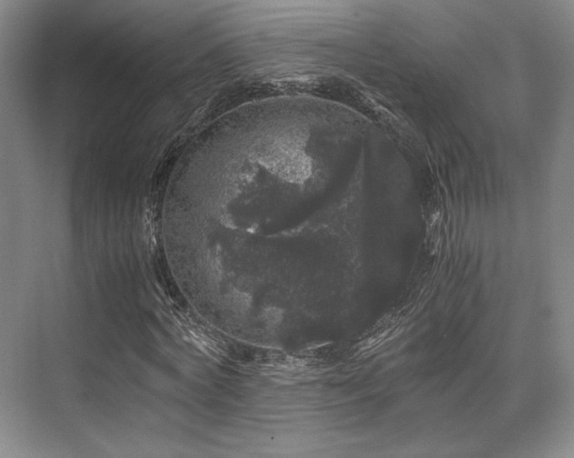 X0000075920772200609151454