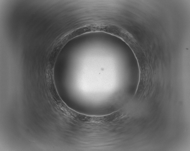 X0000075920773200609151454