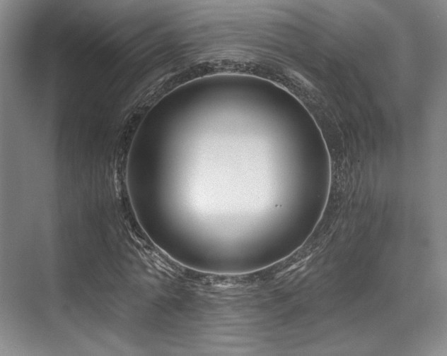 X0000075920774200609151454
