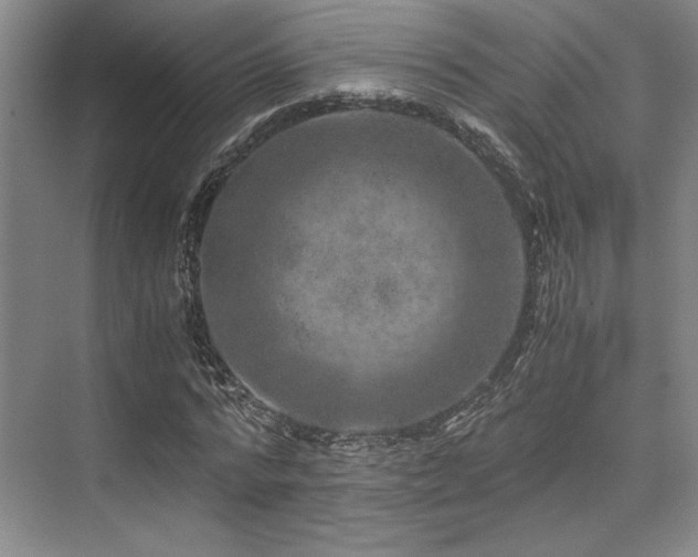 X0000075920776200609151454