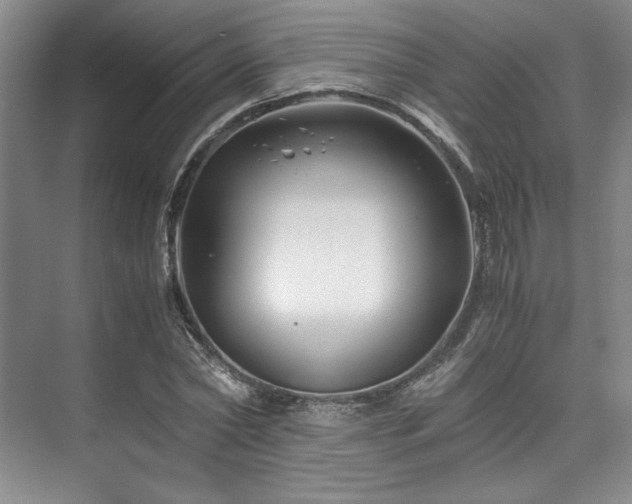 X0000075920782200609151453
