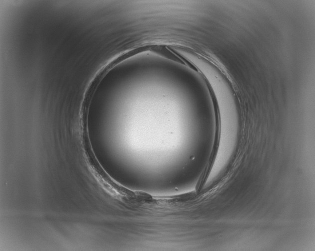 X0000075920787200609151453