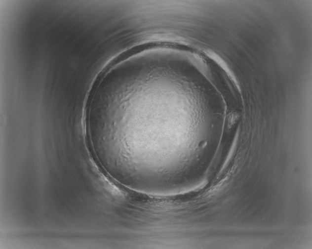 X0000075920791200609151453