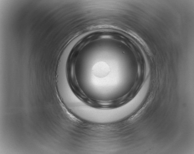 X0000075920801200609151453