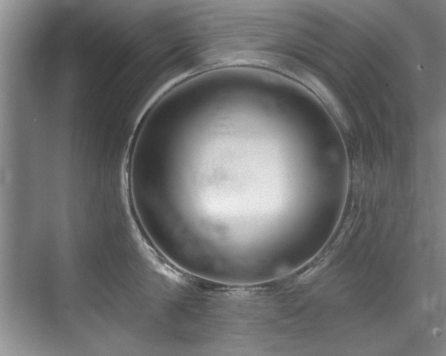 X0000075920814200609151453