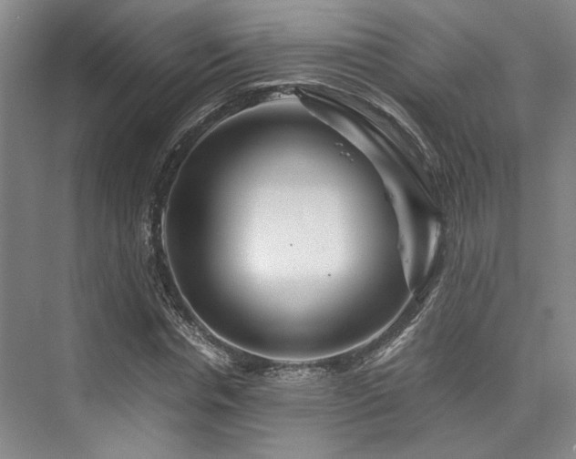 X0000075920826200609151452