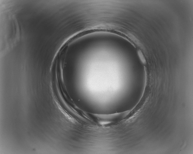 X0000075920838200609151452
