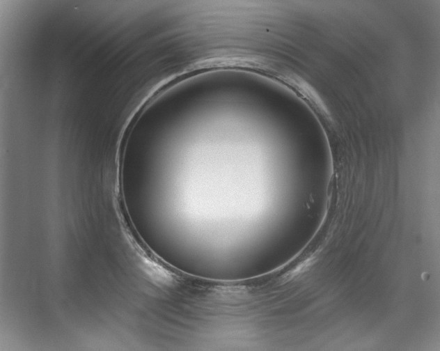 X0000075920844200609151453