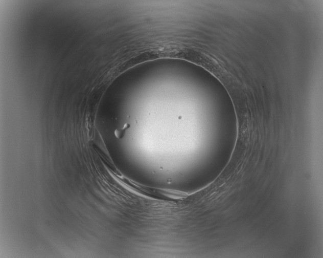 X0000075920866200609151452
